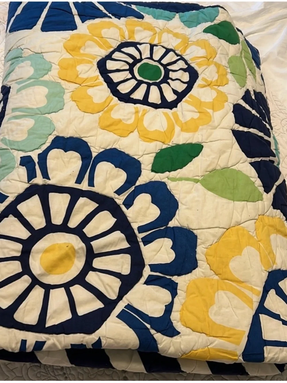 Pottery Barn Teen Daisy Quilt Set